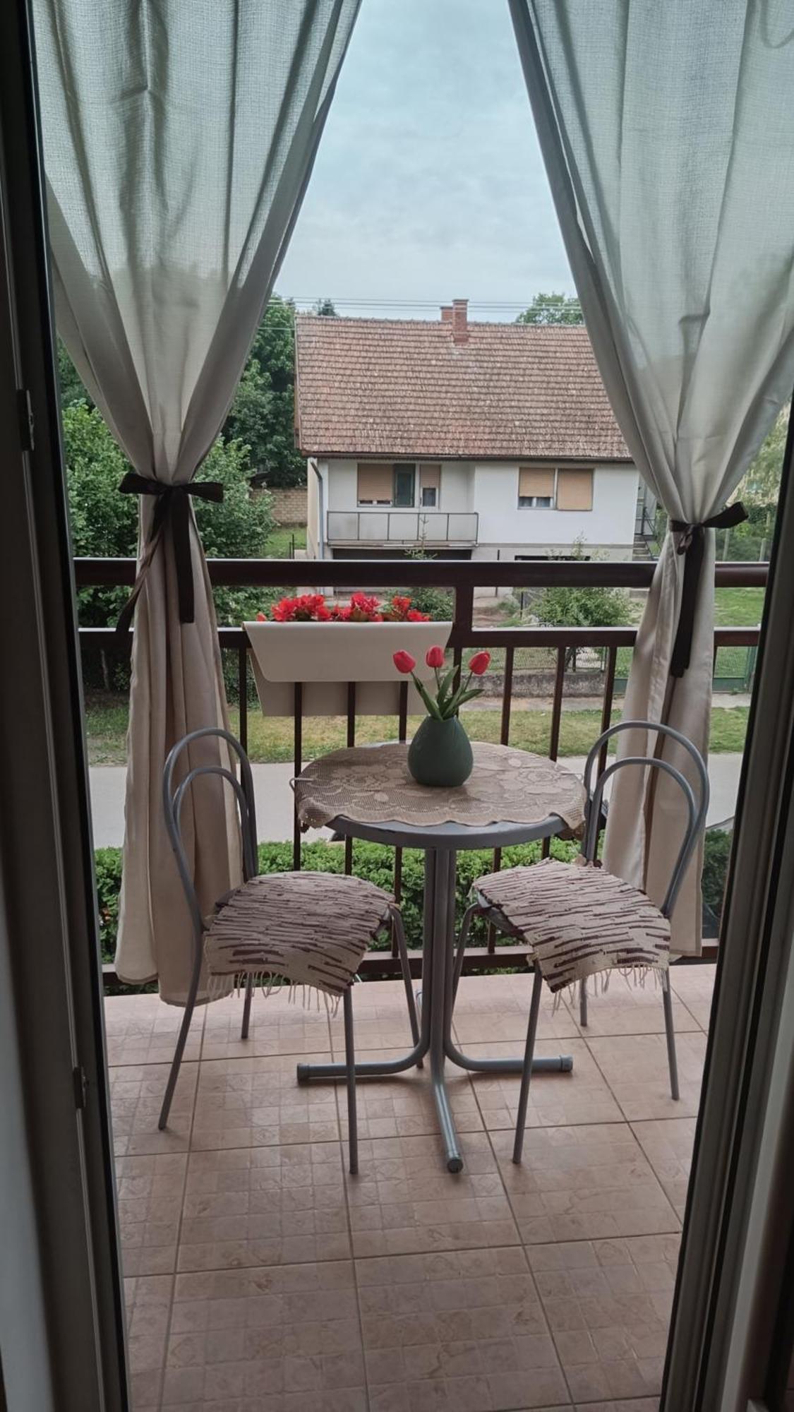 Dora Apartman Палич Экстерьер фото