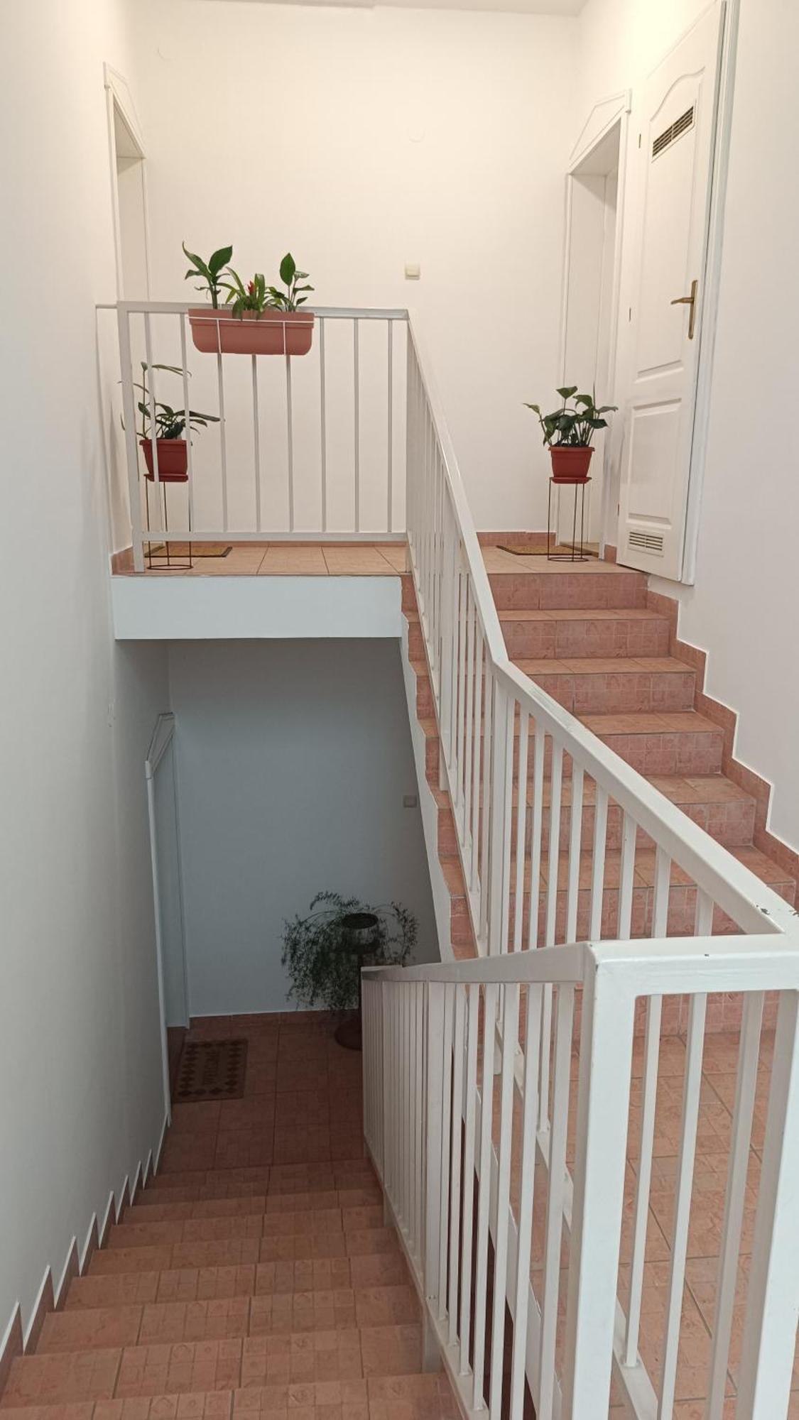 Dora Apartman Палич Экстерьер фото